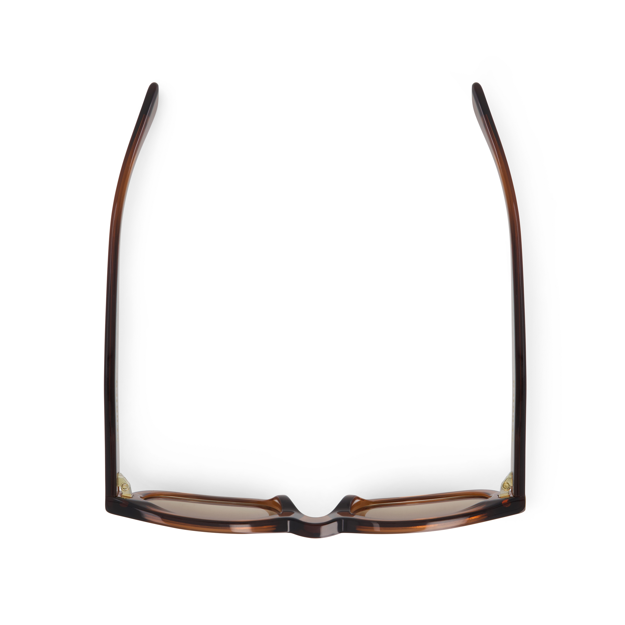 "CEDRICO" SUNGLASSES (BROWN)