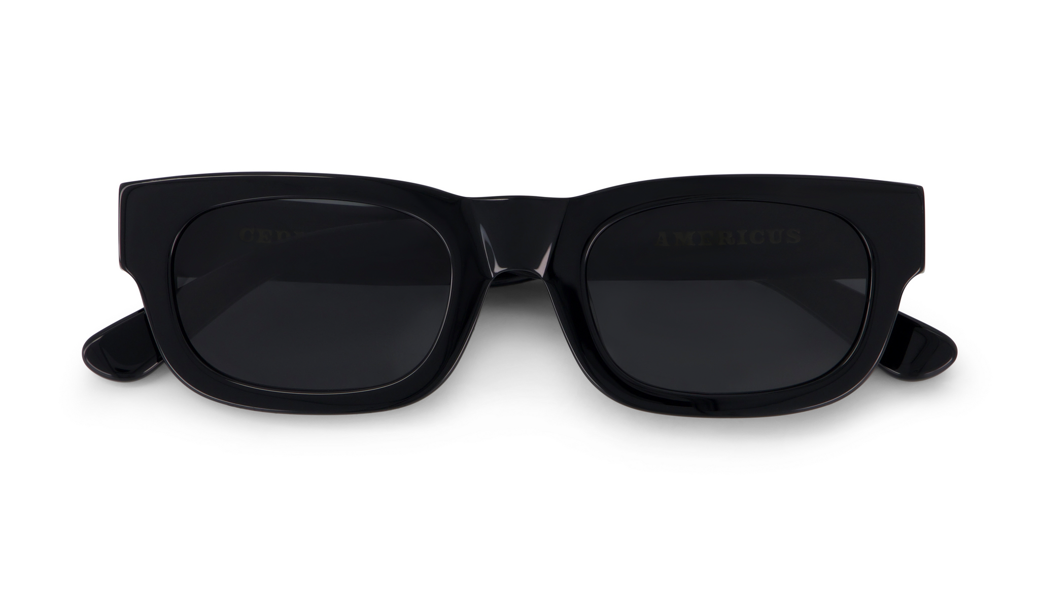 "CEDRICO" SUNGLASSES (BLACK)